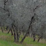 Il Casaletto Montefranco
