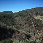 Il Casaletto *