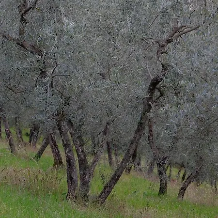 Il Casaletto Montefranco