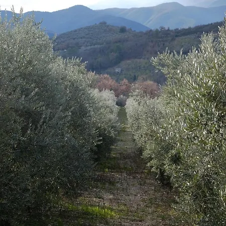Il Casaletto Alojamento de Turismo Rural *