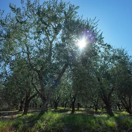 Il Casaletto Alojamento de Turismo Rural *