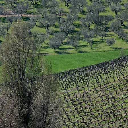 Il Casaletto * Montefranco