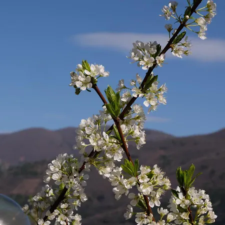 Il Casaletto Alojamento de Turismo Rural *