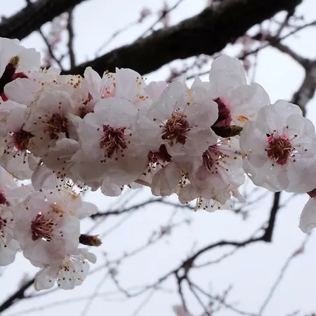 Il Casaletto * Montefranco