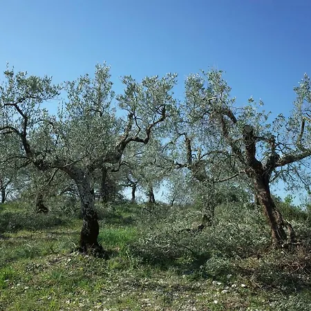Il Casaletto Alojamento de Turismo Rural Montefranco