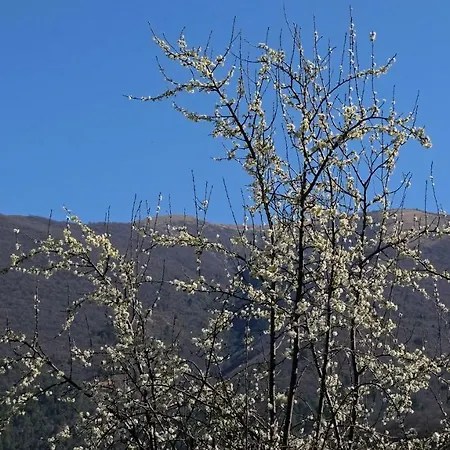 Il Casaletto Alojamento de Turismo Rural *