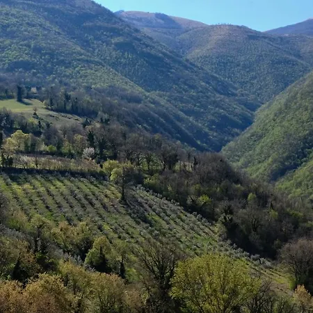 Il Casaletto Feriegård Montefranco