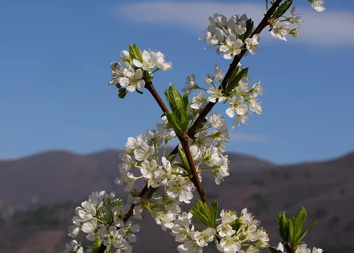 Il Casaletto Agroturismo *