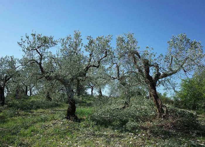 Il Casaletto Farm stay Montefranco