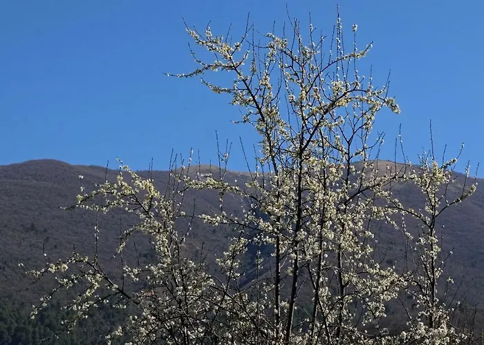 Il Casaletto Agroturismo *